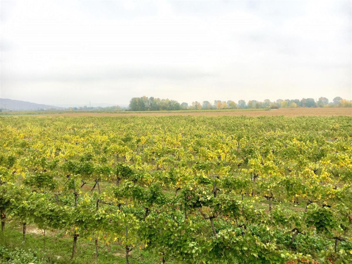 Landhaus Weinblick Rohrendorf bei Krems Exteriör bild